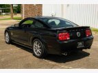 Thumbnail Photo 4 for 2009 Ford Mustang Shelby GT500